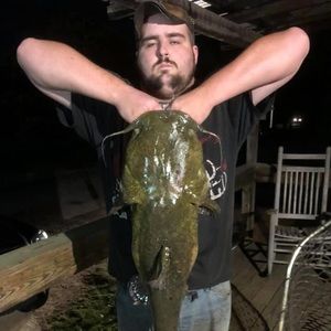 Meet your Posher, Jonathan